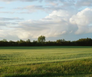 Odrolnienie gruntów