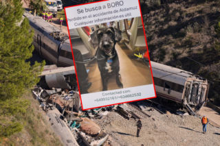 Pies ocalał z katastrofy w Hiszpanii. Trwają poszukiwania