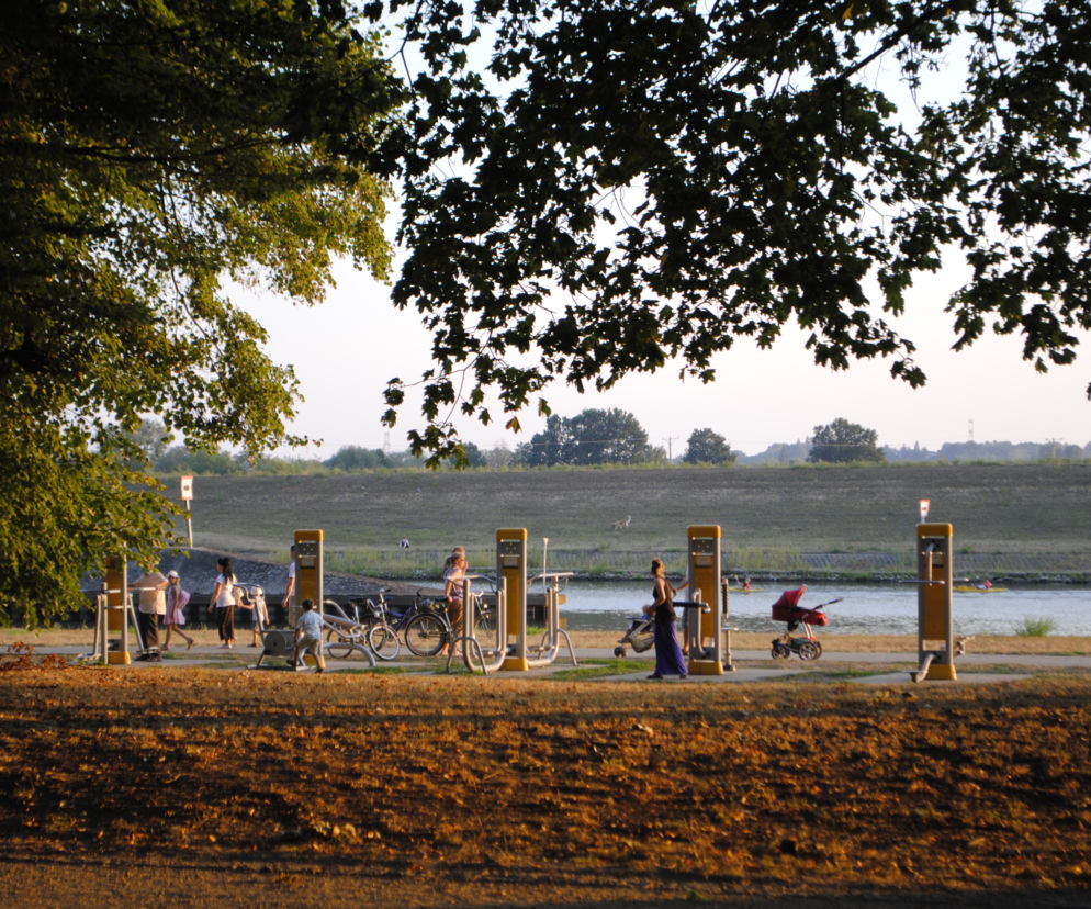 Park nadodrzański Opole
