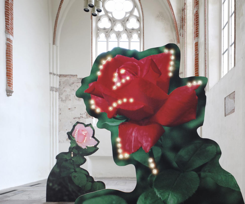 Misterioso Nadii Markiewicz