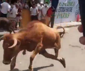 Szokujące sceny podczas gonitwy byków. Mężczyzna oszukał przeznaczenie
