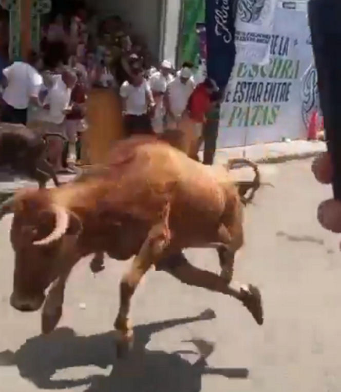 Szokujące sceny podczas gonitwy byków. Mężczyzna oszukał przeznaczenie