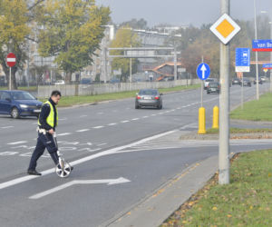 Artur Zawisza potrącił rowerzystkę