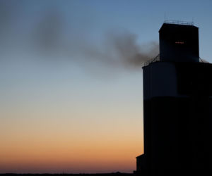 Płonęła hala zbożowa w Wielkopolsce. Co doprowadziło do gigantycznego pożaru?