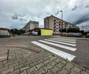  Loki ruszył tropem i doprowadził policję prosto pod drzwi złodzieja