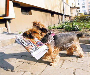 Dzięki mojej Daisy wygrałam w loterii Super Expressu!