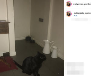 Tak mieszka Małgorzata Pieńkowska