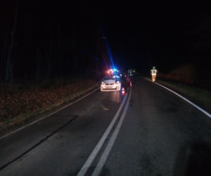 Broniszów: HORROR na drodze. 45-latek NIE ŻYJE. Co tam się stało?! [ZDJĘCIA]