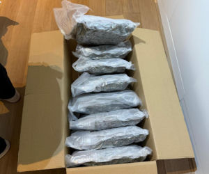 Był niczym duch, ale w końcu wpadł