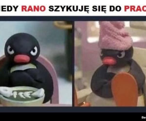 Memy o pracy