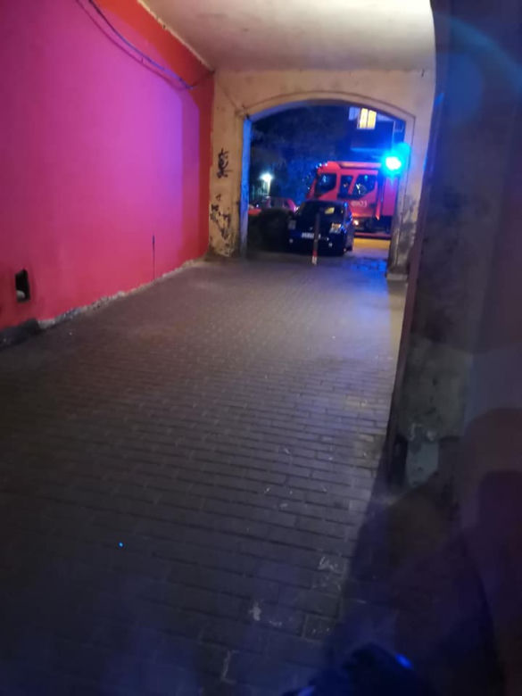 Bytom: Dramatyczna akcja służb. Szukali KOCICH DZIECI! Ich mama zginęła pod kołami