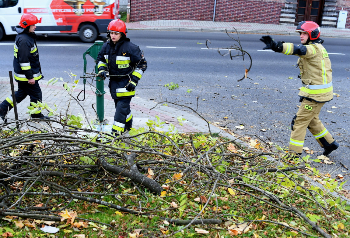 Silny wiatr przewracał drzewa i zrywał dachy