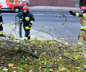 Pogoda: Wiatr powala drzewa i blokuje pociągi. Ofiary śmiertelne i ranni!