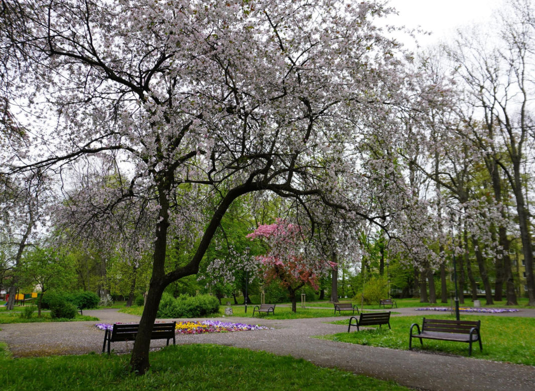 Park Bronowice wiosną 2024