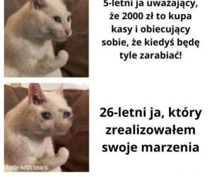 Memy o pracy
