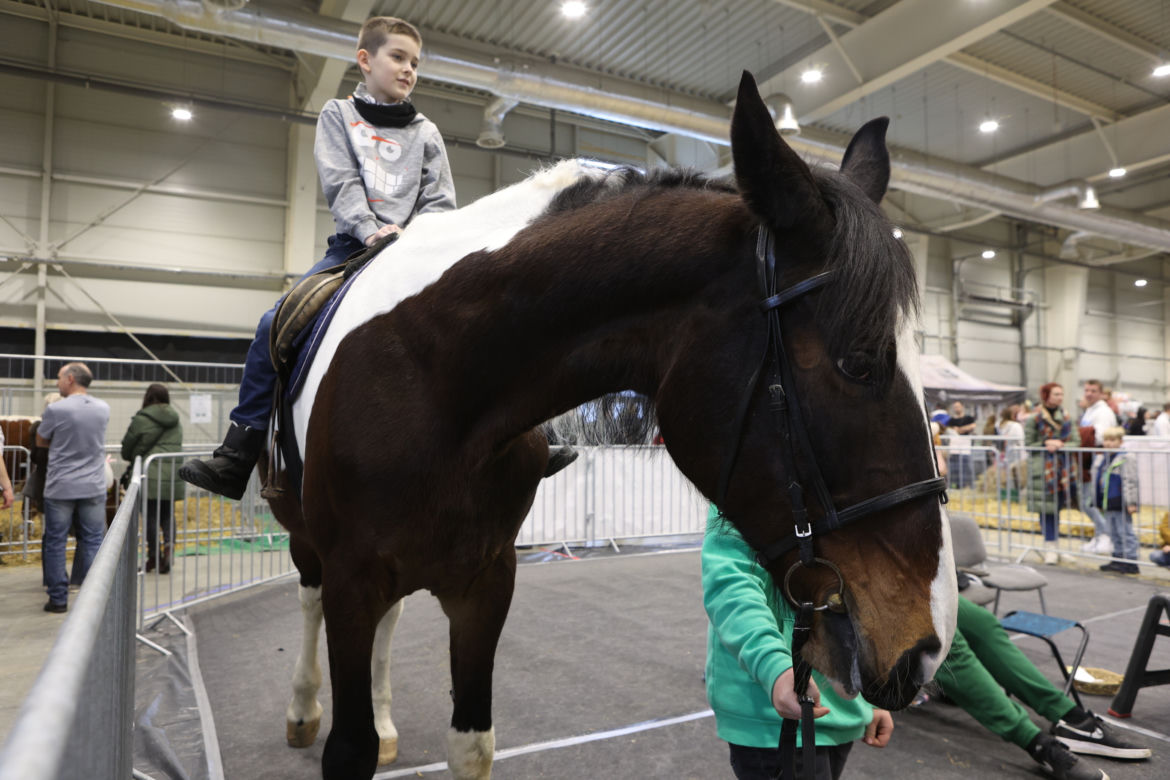 ZooPark 2023 w Lublinie przyciągnął tłumy!