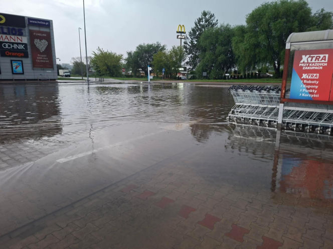 Zalane Starachowice