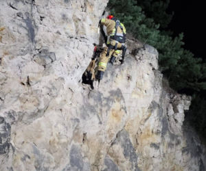 Strażacy uratowali owieczkę