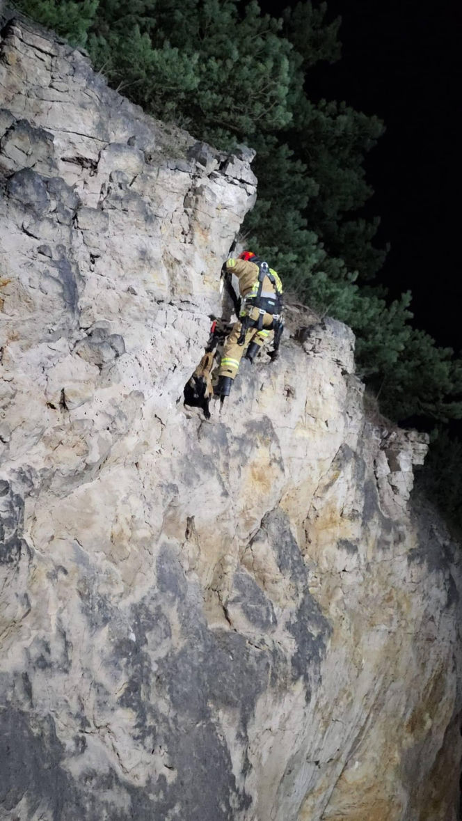 Strażacy uratowali owieczkę