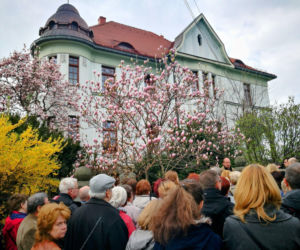 Były oznaką prestiżu i statusu. Cieszyn, królestwo magnolii