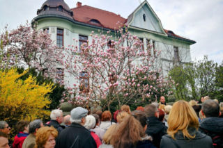 Wiosną to najpiękniejsze miasto w Polsce. To tu wymyślili Szlak Kwitnących Magnolii. Jedyny taki w Polsce