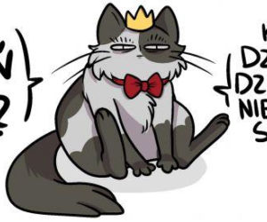 Mruczysz ze śmiechu? Najlepsze memy na Dzień Kota