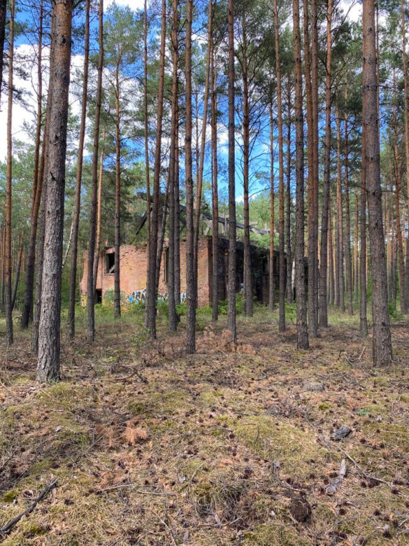 Ruiny byłej fabryki amunicji DAG podczas II wojny światowej w Lubuskiem