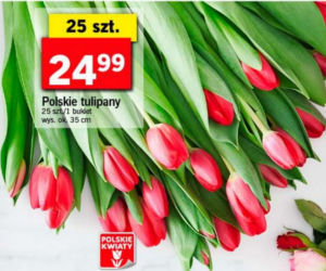 Kwiaty za grosze w Lidlu