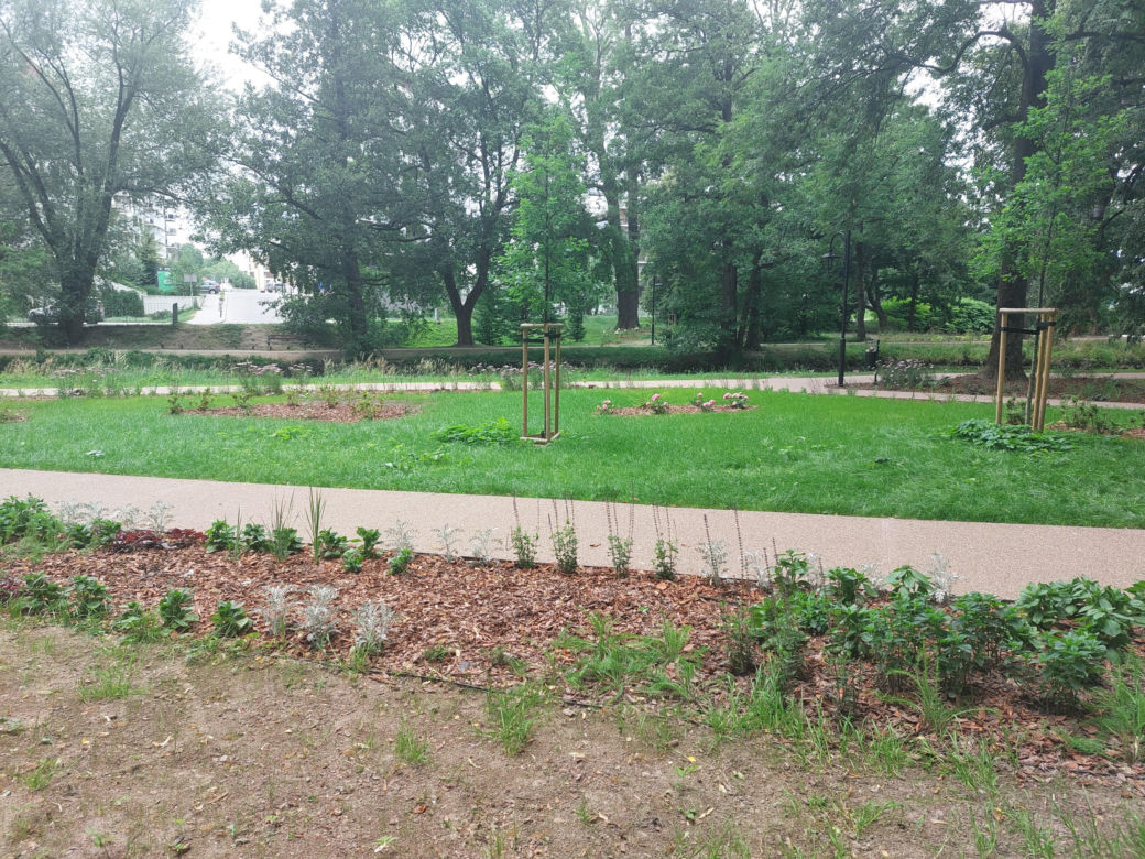 Park im. Szafera w Rzeszowie 
