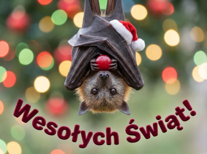 Świąteczne wierszyki na Boże Narodzenie 2025: lekkie, rymowane i idealne do wysłania SMS-em