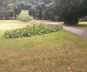 Park przy Dąbrowskiego w Rzeszowie