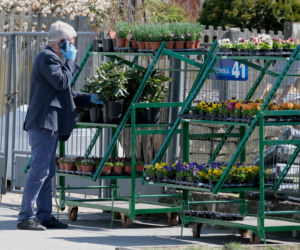 Marszałek Karczewski robi zakupy na bazarku