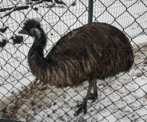 ZOO Toruń zaprasza!