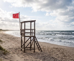 Sinice Gdynia. Czy w Gdyni można się kąpać 10.07? Flaga, warunki pogodowe