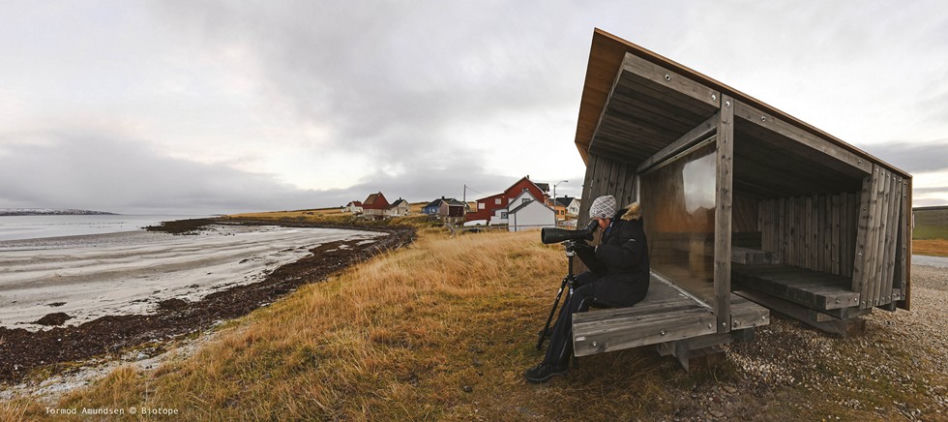 Punkt widokowy, architektura w krajobrazie