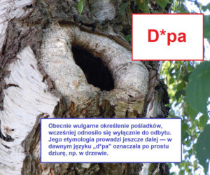 Język żyje — zmienia go historia, migracje, zapożyczenia z innych języków, a nawet technologia