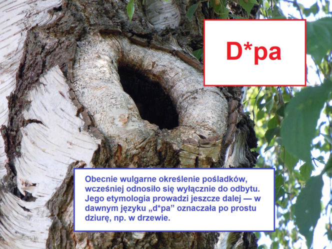 Język żyje — zmienia go historia, migracje, zapożyczenia z innych języków, a nawet technologia