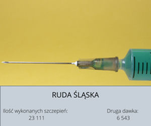 Koronawirus Śląskie. W tych powiatach zaszczepiono najwięcej osób [GALERIA] 