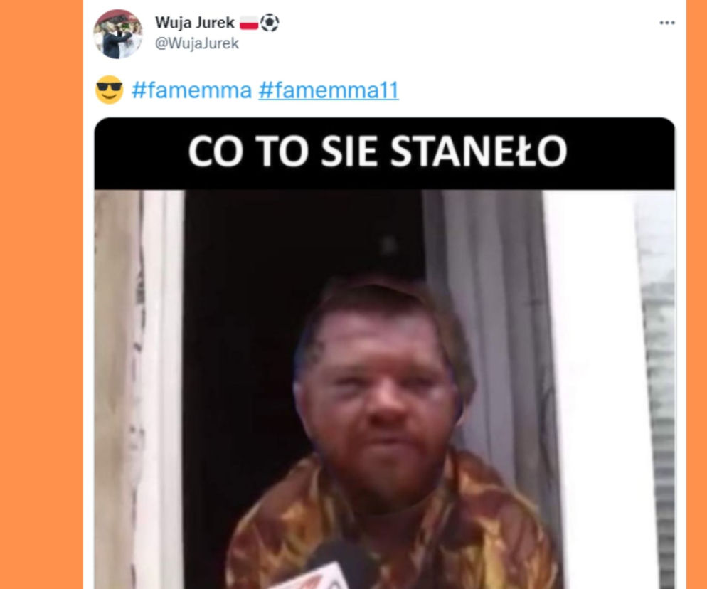 Fame MMA 11 - MEMY i ZDJĘCIA