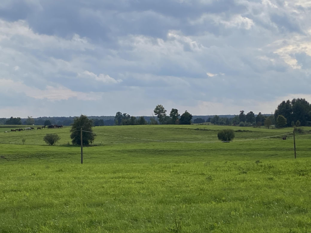 Bitwa o Polanę Ukciańską nad Krutynią