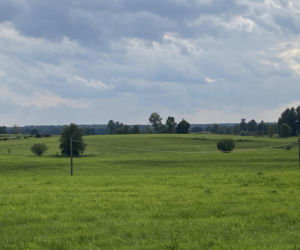 Bitwa o Polanę Ukciańską nad Krutynią