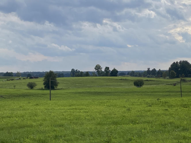 Bitwa o Polanę Ukciańską nad Krutynią