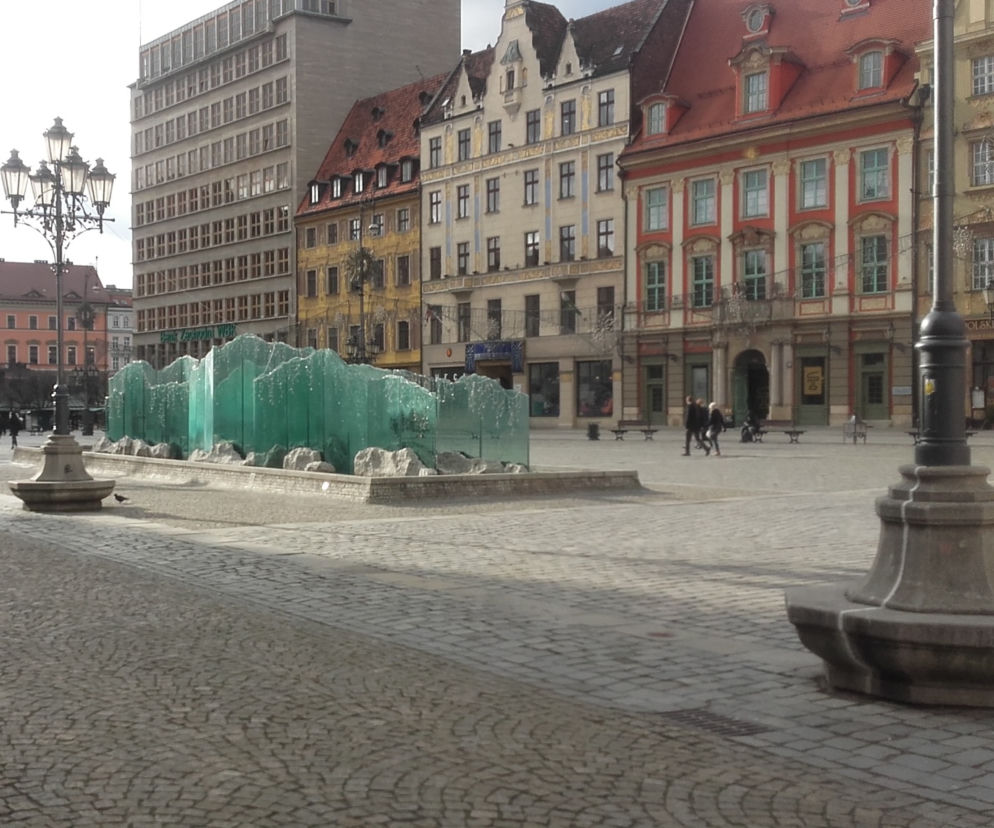 Wyjątkowo ciepła połowa listopada we Wrocławiu