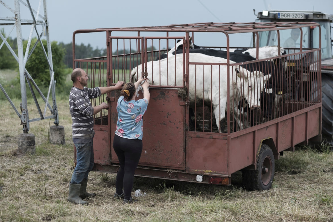 Rolnicy. Podlasie. Justyna i Łukasz ze wsi Ciemnoszyje