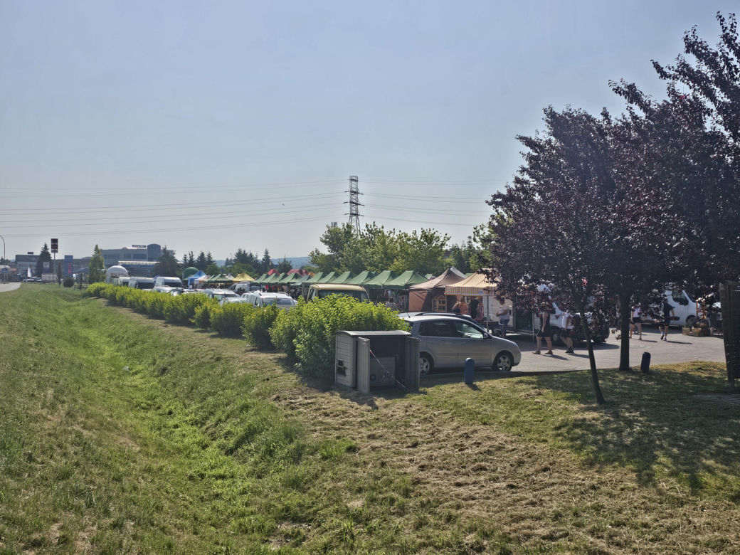 6. Eko-bazarek w Parku Papieskim 