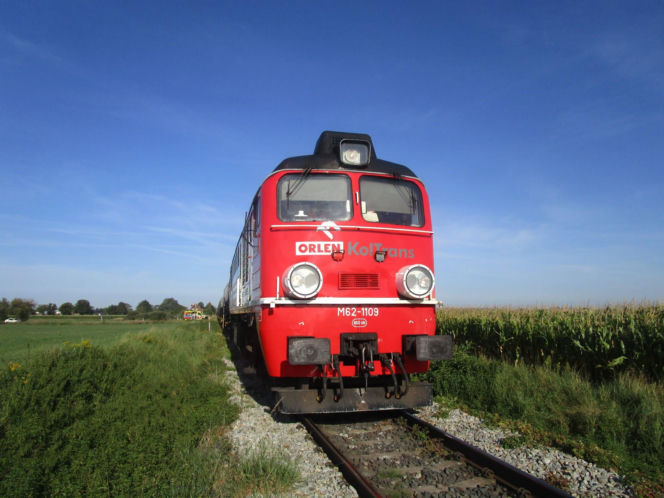 Wjechała Audi prosto pod pociąg. Prawda o kierującej zaskoczyła policjantów! [ZDJĘCIA]