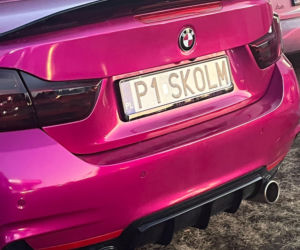 Stacja Skolima, Czeremcha