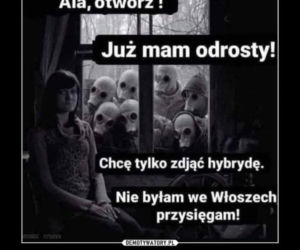 Data otwarcia salonów fryzjerskich. Zobacz najzabawniejsze memy!