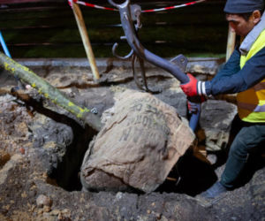 Nowe drzewa na ul. Marszałkowskiej w Warszawie