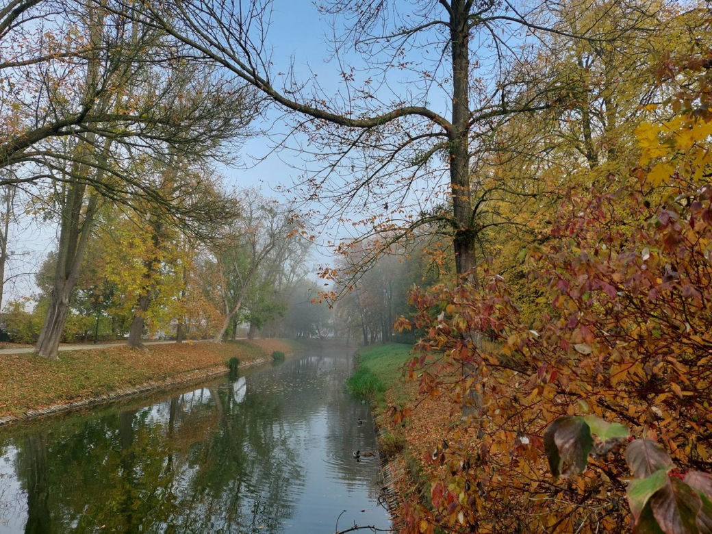 Zamojski Park jesienią